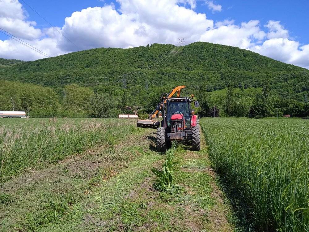 débroussaillage