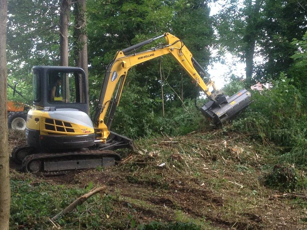 débroussaillage foret